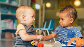 Hoe kan de verspreiding van meningokokken (bacteriën) plaatsvinden in crèches en kinderopvangcentra